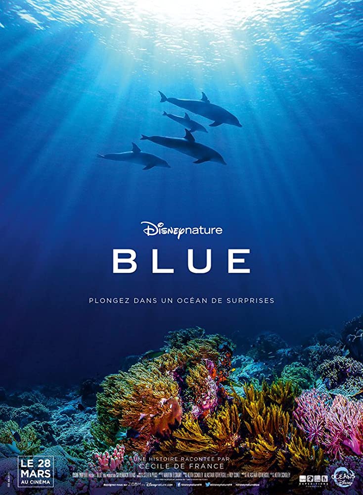 ดูหนังสารคดี Dolphin Reef (2020) อัศจรรย์ชีวิตของโลมา เต็มเรื่อง