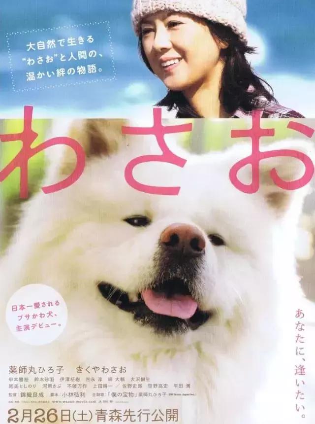 ดูหนังเอเชีย Wasao (2011) วาซาโอะ เต็มเรื่อง
