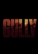 Gully เว็บดูหนังออนไลน์ฟรี