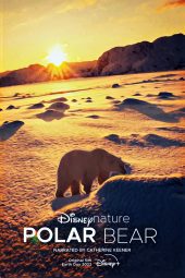 Polar Bear สารคดี