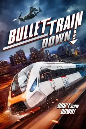 ดูหนังแอคชั่น Bullet Train Down (2022)