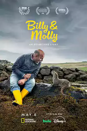 ดูหนัง Billy & Molly: An Otter Love Story (2024)