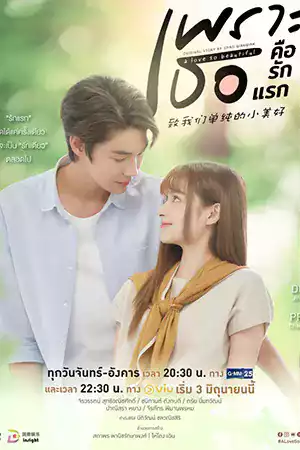 เว็บดูซีรี่ย์ออนไลน์ A Love So Beautiful (2024) เพราะเธอคือรักแรก