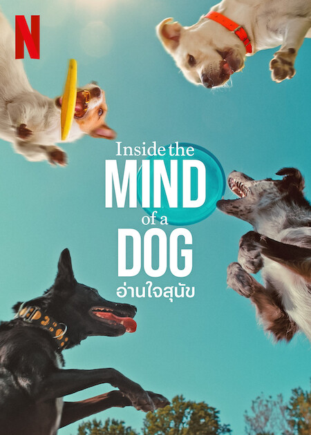 เตรียมพบกับสารคดีสุดน่ารักจาก Netflix Inside the Mind of a Dog อ่านใจสุนัข จากปี 2024