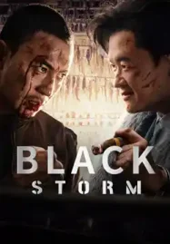 ดูหนังออนไลน์ฟรี Black Storm (2024) พายุทมิฬ