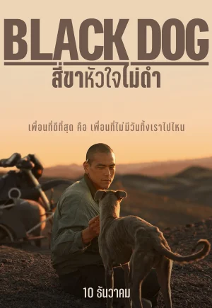 Black Dog (2024) สี่ขาหัวใจไม่ดำ ดูหนังออนไลน์ฟรี