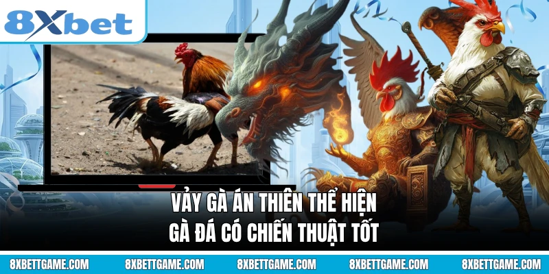 Vảy gà Án Thiên thể hiện gà đá có chiến thuật tốt